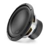 10-inch (250 mm) Subwoofer Driver, 2 ?