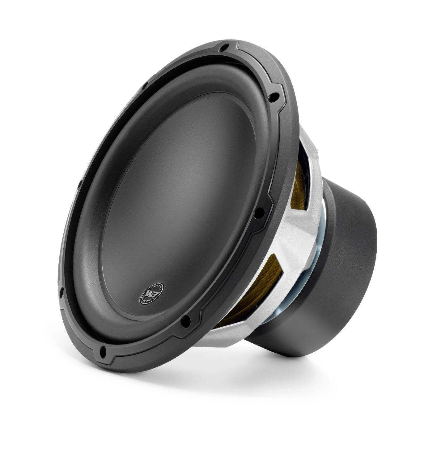 10-inch (250 mm) Subwoofer Driver, 2 ?