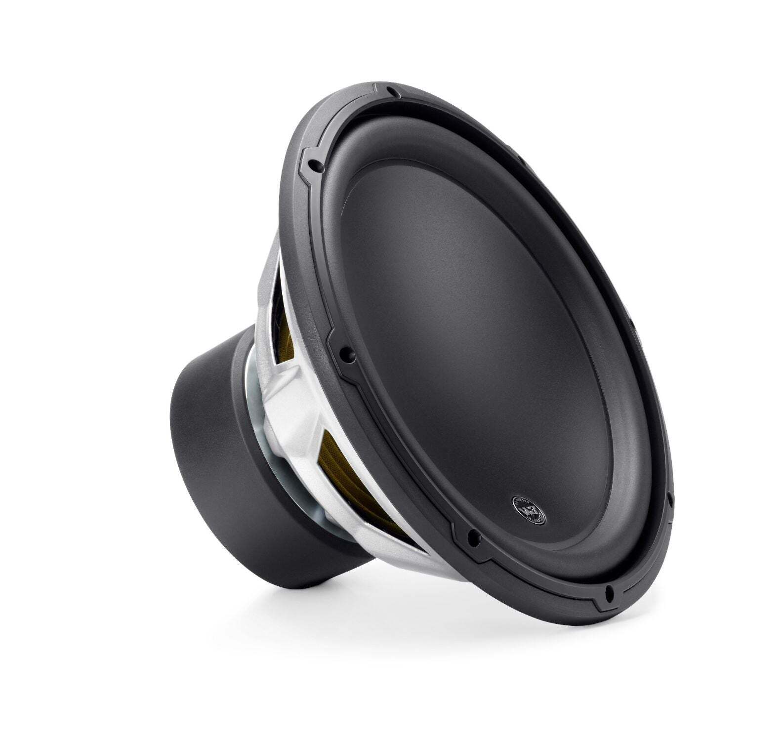 Alternative view of 12-inch (300 mm) Subwoofer Driver, 2 ?