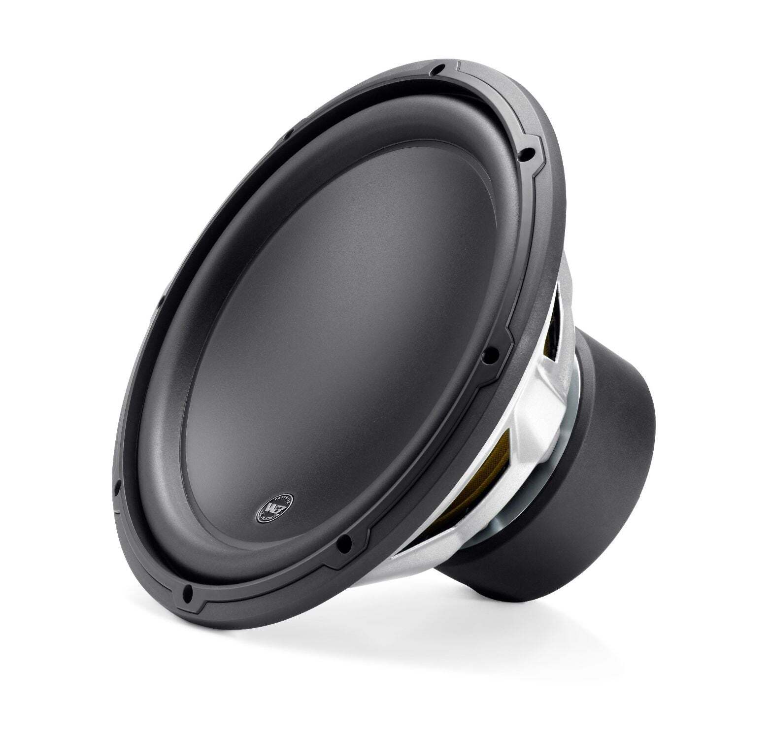 12-inch (300 mm) Subwoofer Driver, 2 ?