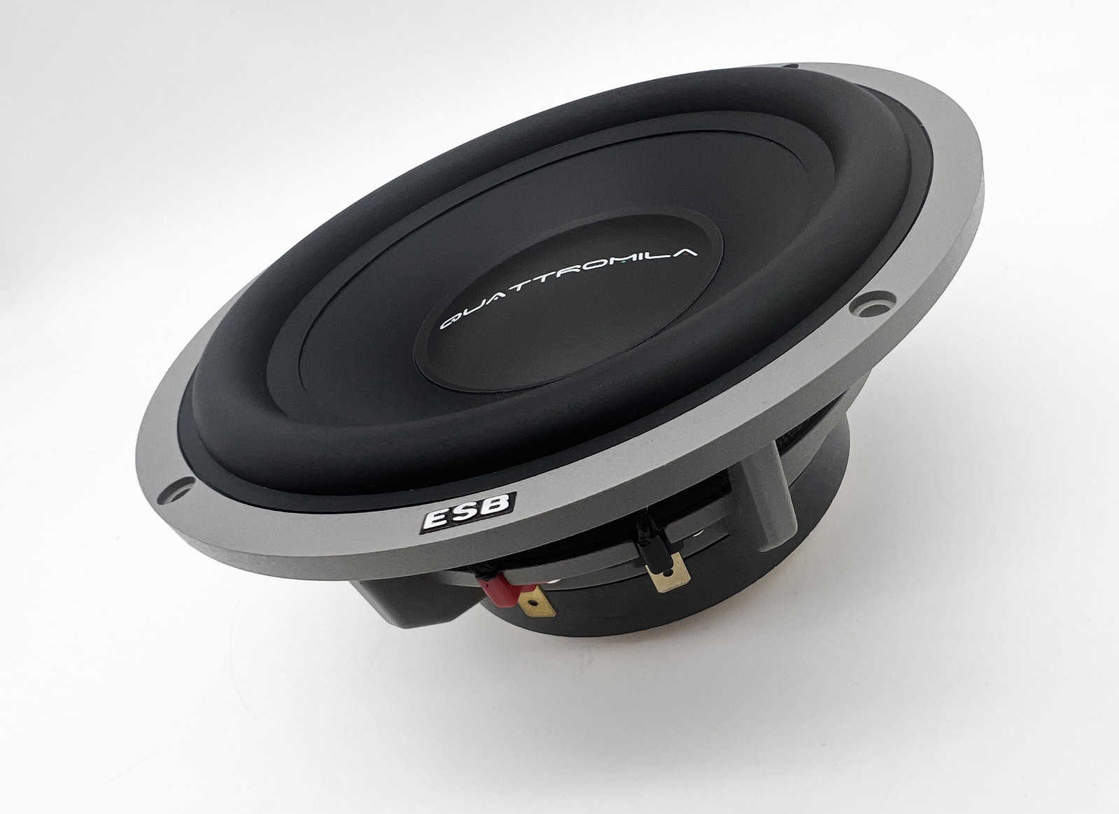 Alternative view of 6.5"/165 mm Mid-Woofer