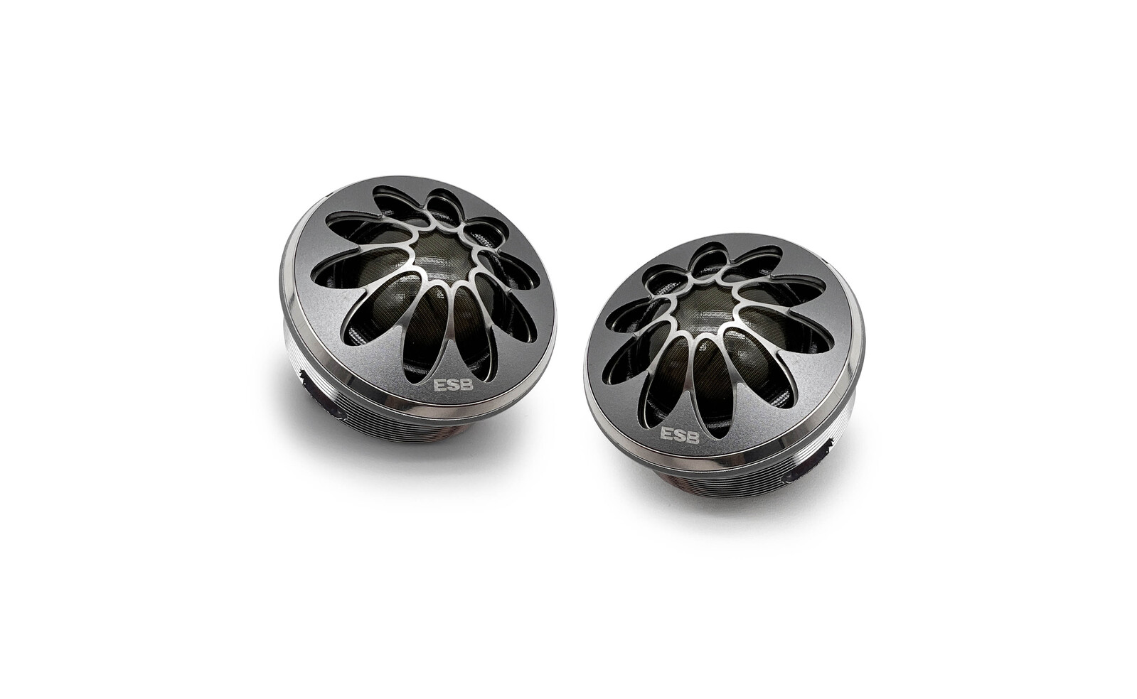 Alternative view of ESB  1.1"/28 mm High-End Dome Tweeter