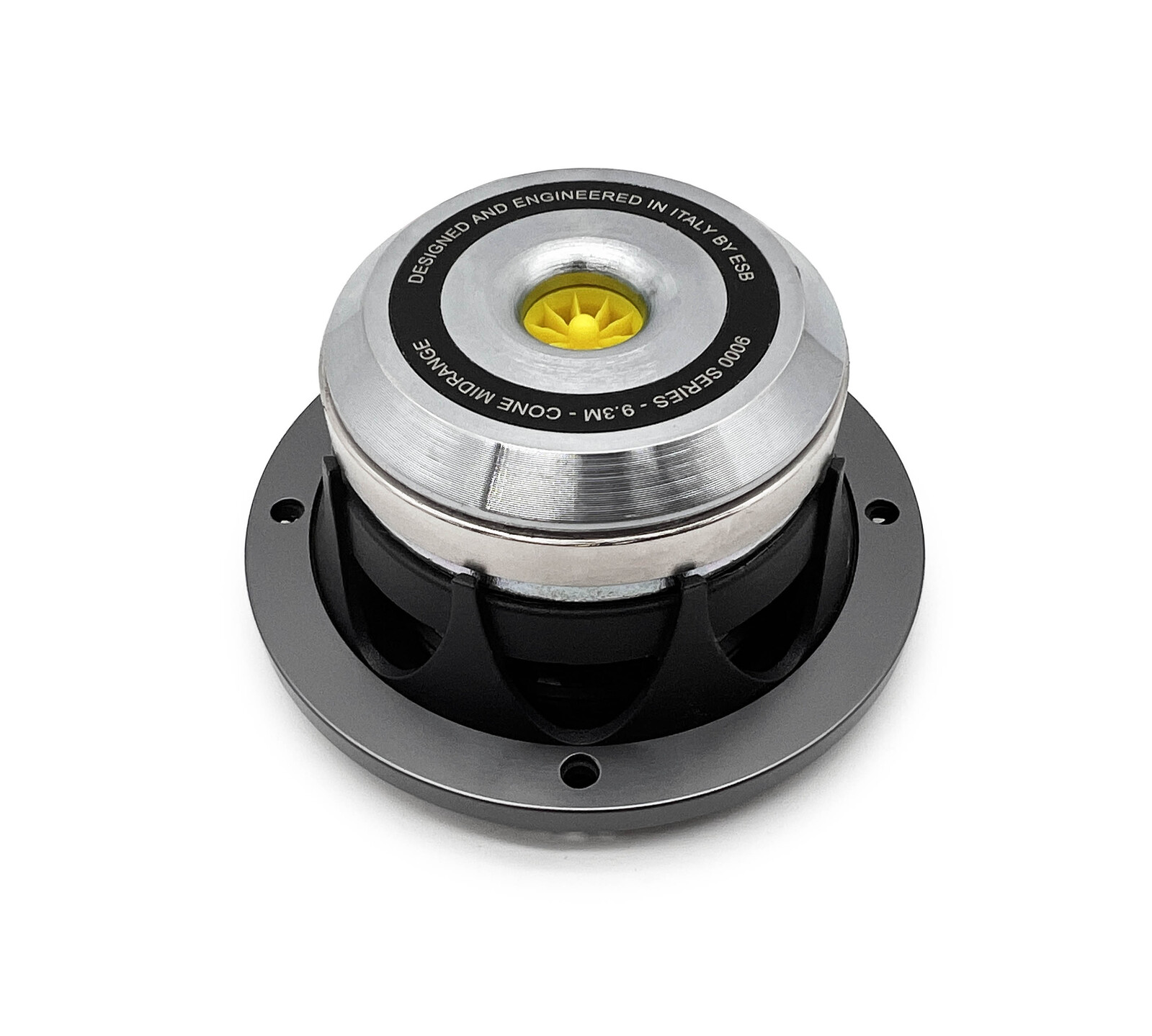 Alternative view of 3"/75 mm High-End Cone Midrange