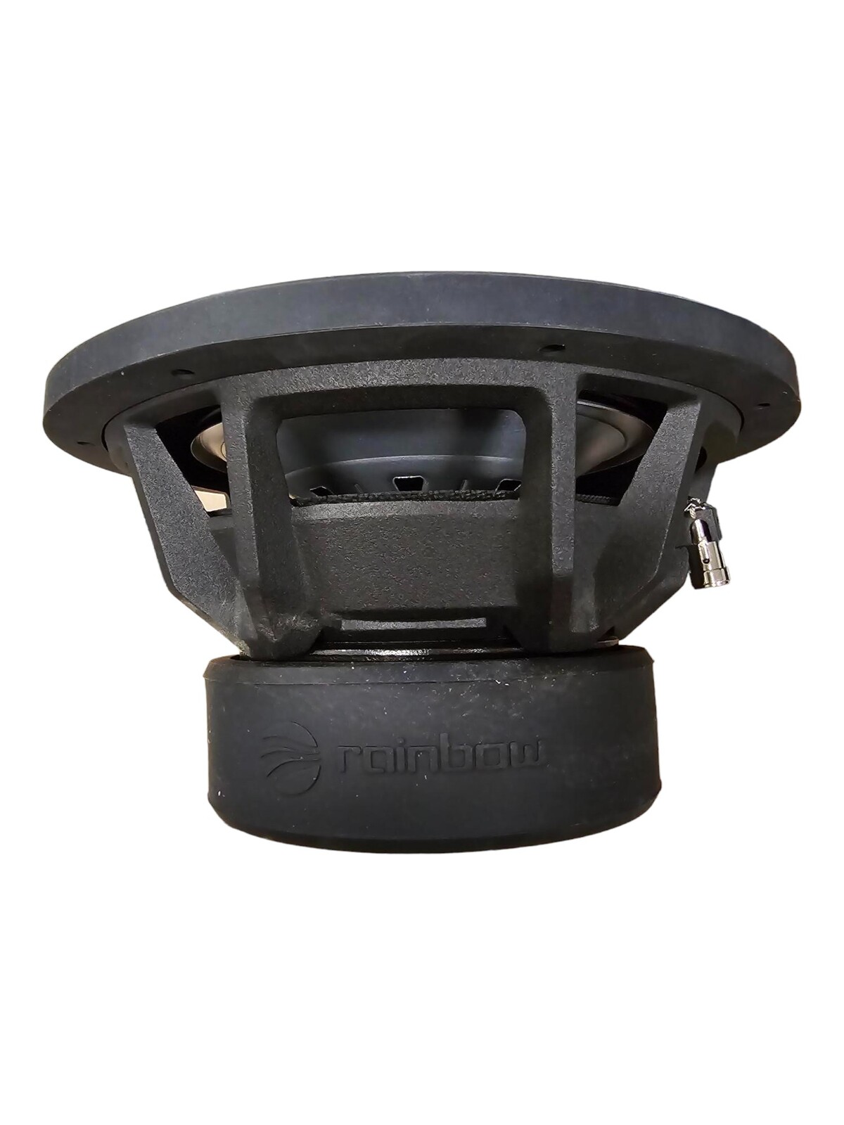 Alternative view of Rainbow 10 "dual voice coil Subwoofer